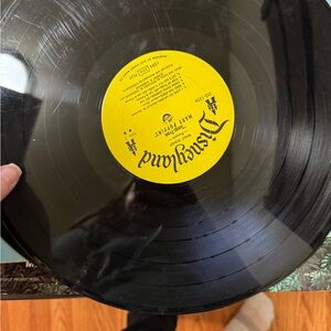 Disneyland Vinyl Record